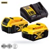 Nożyce do metalu DeWALT DCS491P2 18V XR 2x5Ah TSTA