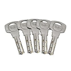 Wkładka 30/35 + wkładka z gałką 30G/35 Assa Abloy, nikiel, ATEST, 6D