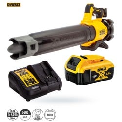 Dmuchawa akumulator18V 1x5Ah DEWALT DCMBL562P1-QW