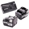 Dmuchawa akumulatorowa 18V 2x5Ah HiKOKI RB18DCWPZ