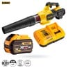 Dmuchawa akumulatorowa 54V 1x9Ah DeWalt DCMBA572X1