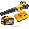 Dmuchawa akumulatorowa 54V 1x9Ah DeWalt DCMBA572X1