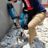 Młot wyburzeniowy 1850W 48,9J HEX 30 Makita HM1511