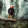 Pilarka łańcuchowa DEWALT DCM575N 54V 400mm body