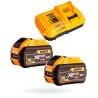Mieszarka 54V 160mm 2x9Ah M14 DeWALT DCD240X2
