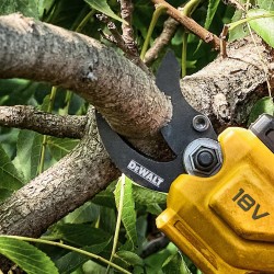 Akumulatorowy sekator do gałęzi 38mm 18V XR 1x5Ah DeWALT DCMPP568P1