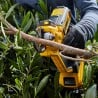 Akumulatorowy sekator do gałęzi 38mm 18V XR DeWALT DCMPP568N BODY