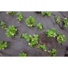 Agrotkanina antychwastowa Bradas AT9411100 PP UV 90gr 100x1,1m czarna