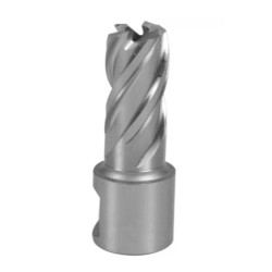 Frez trepanacyjny 18mm Weldon 19mm DeWALT DT8402
