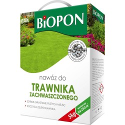 Nawóz do trawnika...