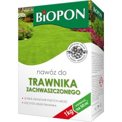Nawóz do trawnika...