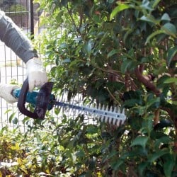 Nożyce elektryczne do żywopłotu 18V MAKITA DUH523Z