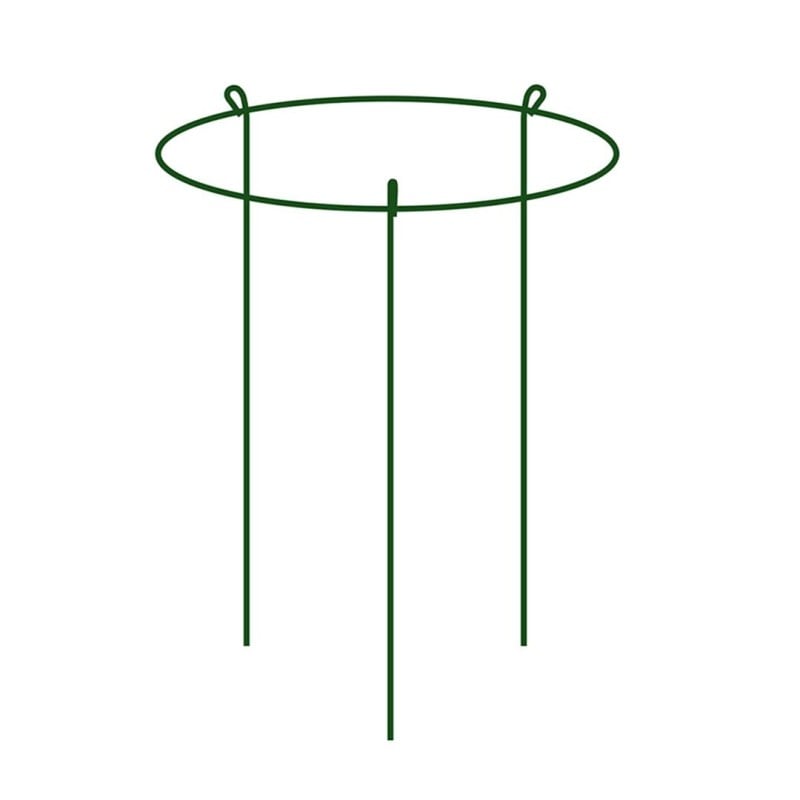 Podpora pierścieniowa do roślin 60cm Bradas TYRP13560
