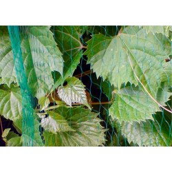 Siatka BIRD NET 7g/m2 oczko 19x19mm 5x 5m