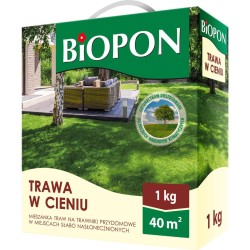 Trawa w cieniu 1kg...