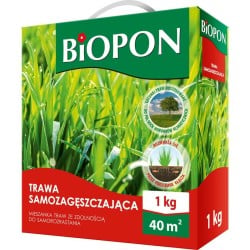 Trawa samozagęszczająca...