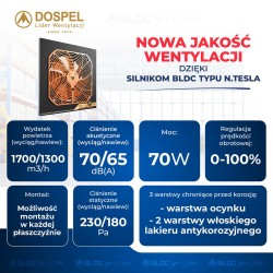 Wentylator przemysłowy osiowy DOSPEL 007-9213 WOKS 250 GOLD rewers TESLA-BLDC 250mm 70W 1700m3/h