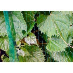 Siatka BIRD NET 7g/m2 oczko 19x19mm 5x 10m