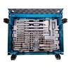 Zestaw wierteł i dłut do młotowiertarki Makita E-17790 SDS+ 17el. MakPac