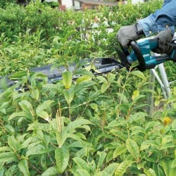 Nożyce akumulatorowe do żywopłotu Makita DUH606Z LXT 18V BL XPT 600mm BODY