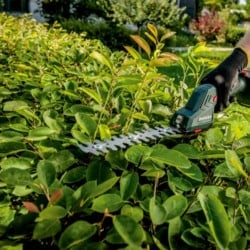 Akumulatorowe nożyce do trawy i żywopłotu Metabo SGS 18 LTX Q 601609850 18V 2x4Ah