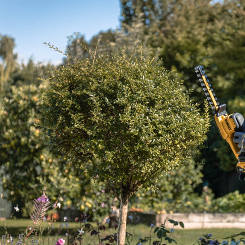 Akumulatorowe nożyce do krzewów DeWALT DCMHT520N-XJ 18V 20cm XR BODY