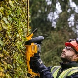 Zestaw DeWALT DCMHT563DCD-QW 18V XR nożyce DCMHT563+wiert.DCD791 2x5Ah BL
