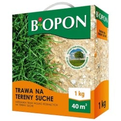 Trawa na tereny suche...