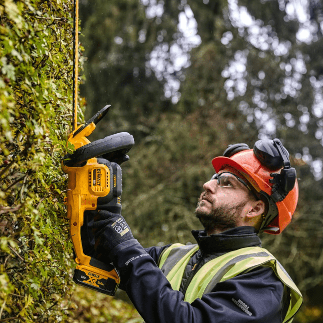 Pilarka szablasta DeWALT DCMHT563N