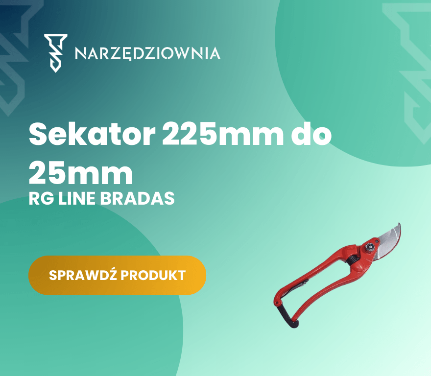 Sekator Bradas