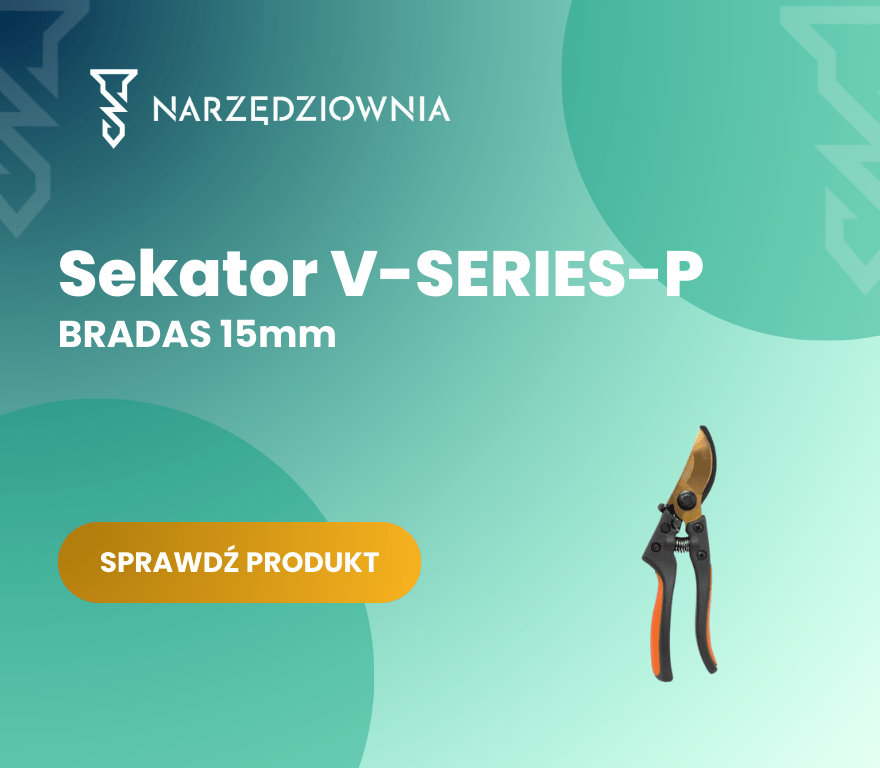 Sekator Bradas