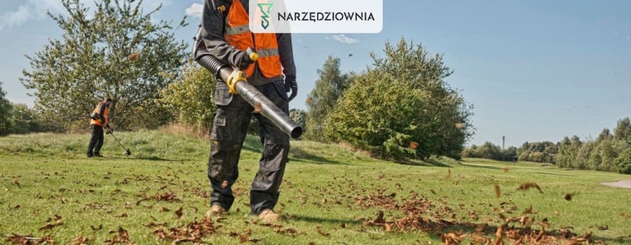 Ranking akumulatorowych dmuchaw do liści - top 7 urządzeń