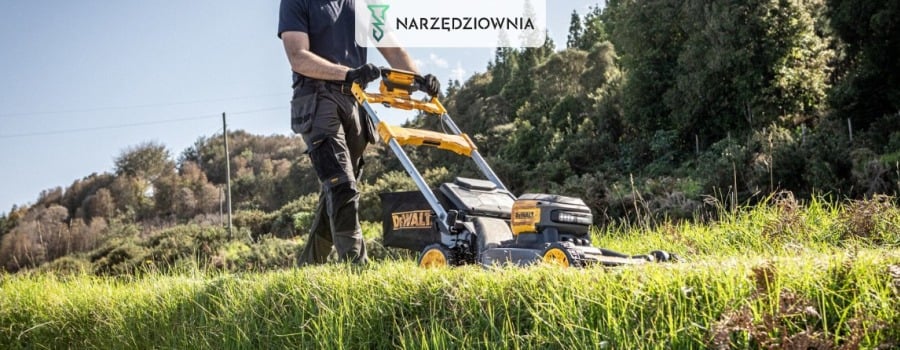 Kiedy ostatnie koszenie trawy przed zimą?