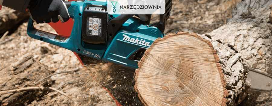 Ranking elektrycznych pił łańcuchowych - który model warto wybrać?