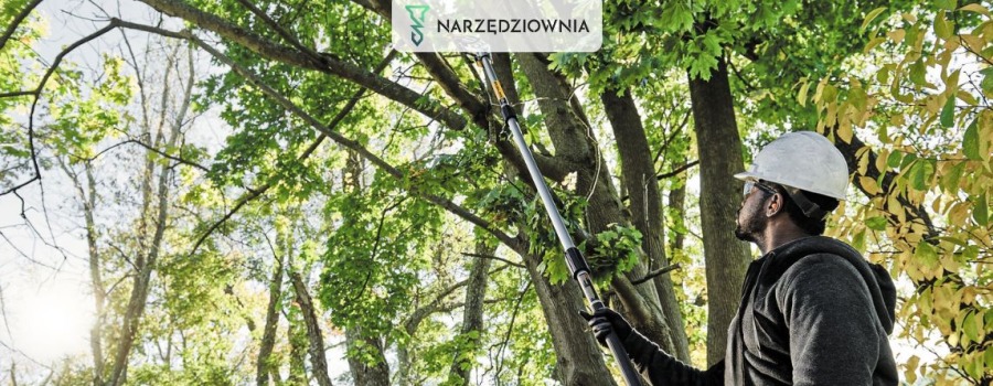 Jaka piła akumulatorowa do gałęzi sprawdzi się w ogrodzie?